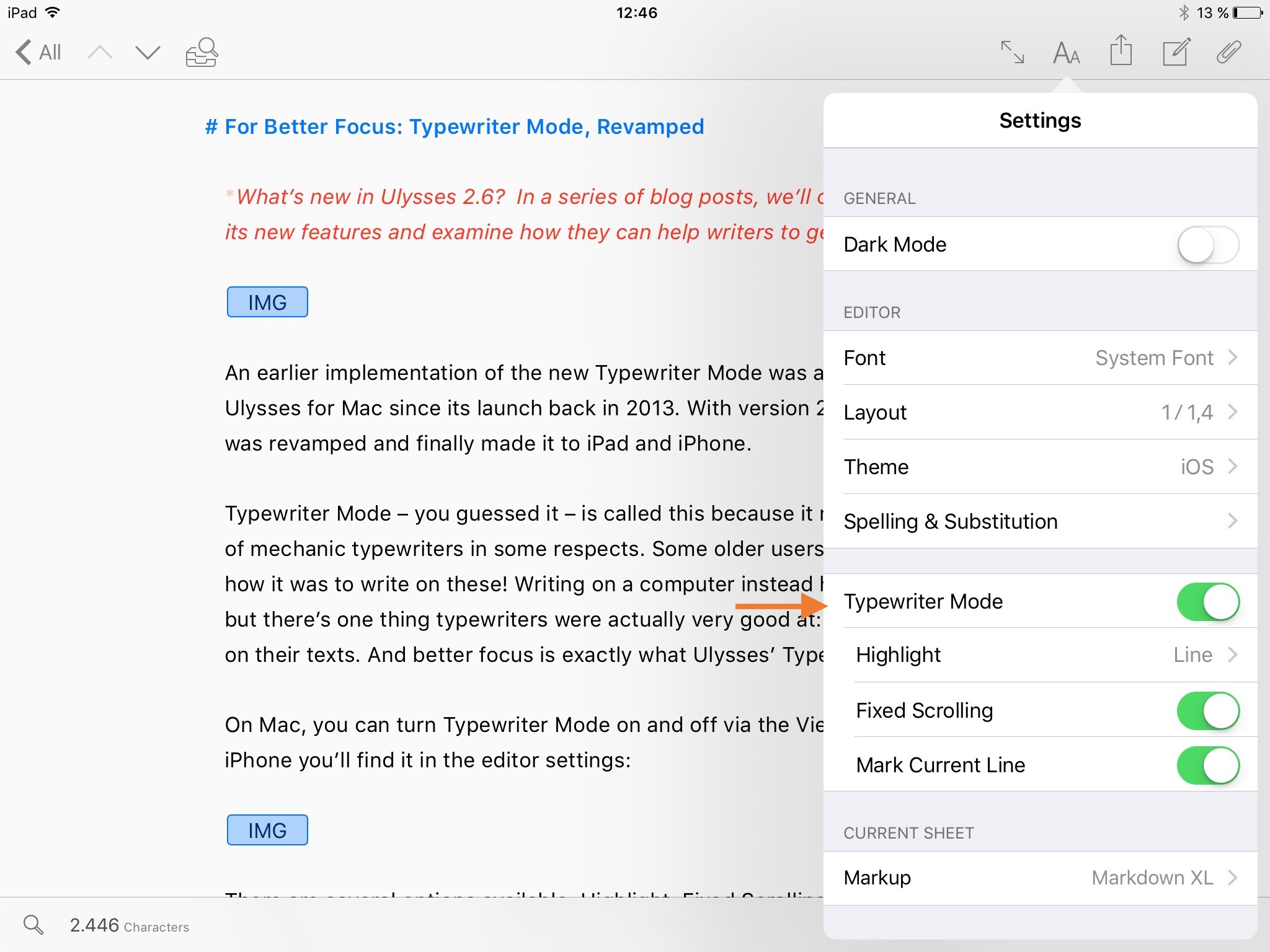 iPad screenshot, editor settings